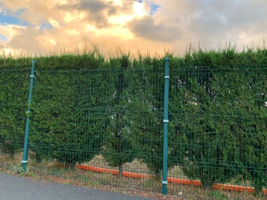 الحماية لحام شبكة الأسلاك السياج الطلاء التآكل 3d لوحة