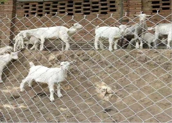 14 مقياس 6 مقياس سلاسل المعدن الحاجز سلاسل الحاجز الفولاذ منخفض الكربون