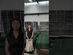 Clear View Fence Anti Climb Security Fence يصنع منصة نقالة